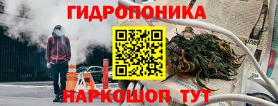 spice Гусиноозёрск